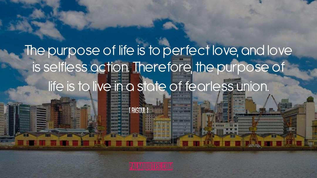 The Purpose Of Life quotes by RaSoul