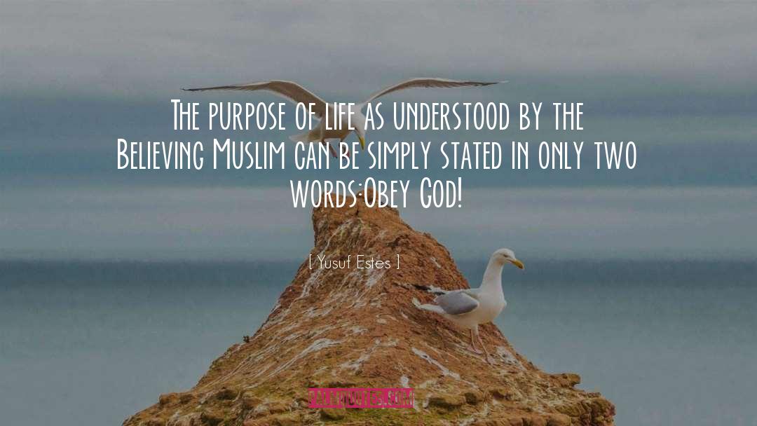 The Purpose Of Life quotes by Yusuf Estes