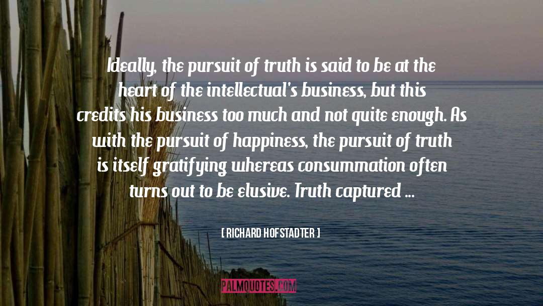 The Pursuit Of Happiness quotes by Richard Hofstadter
