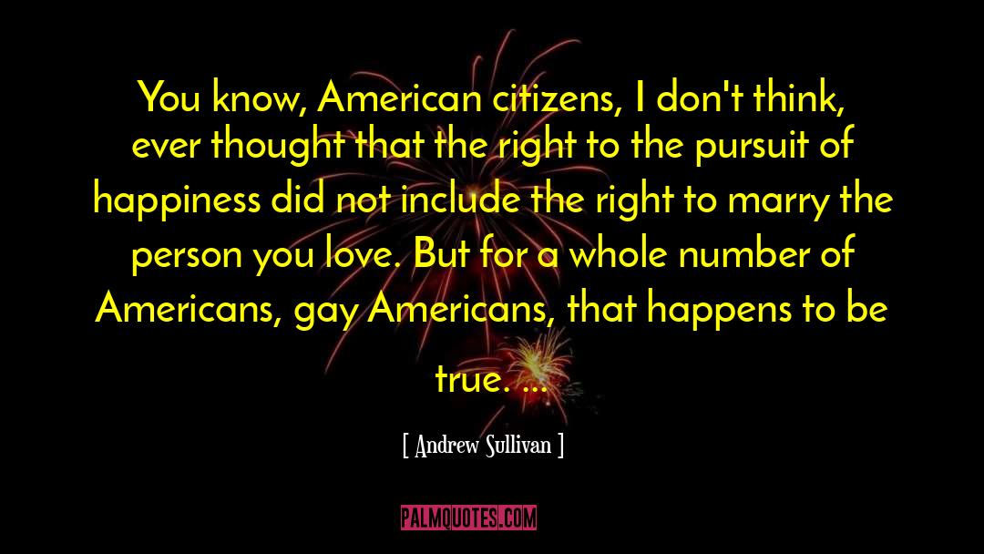The Pursuit Of Happiness quotes by Andrew Sullivan