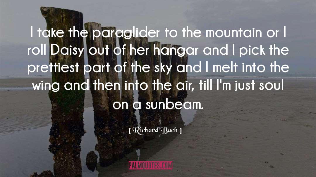 The Quadrangular Sky quotes by Richard Bach