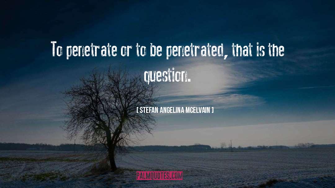 The Question quotes by Stefan Angelina McElvain