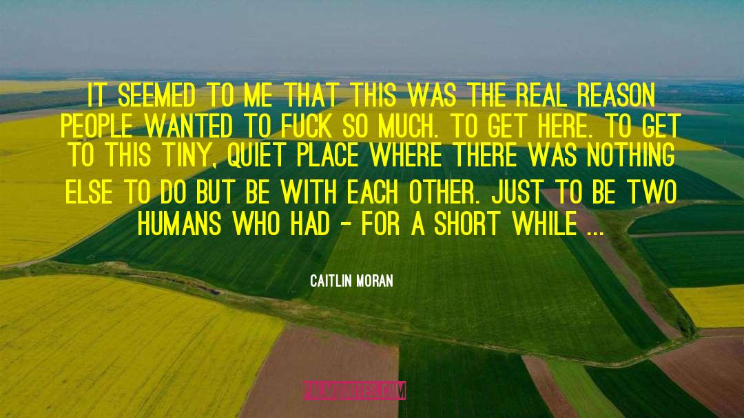 The Quiet Gentleman quotes by Caitlin Moran