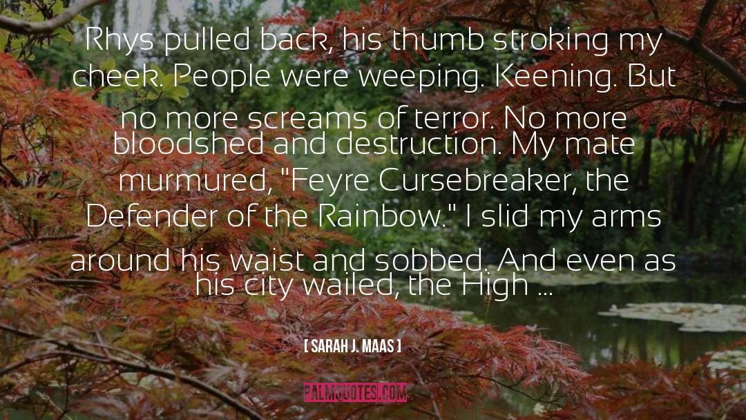 The Rainbow quotes by Sarah J. Maas