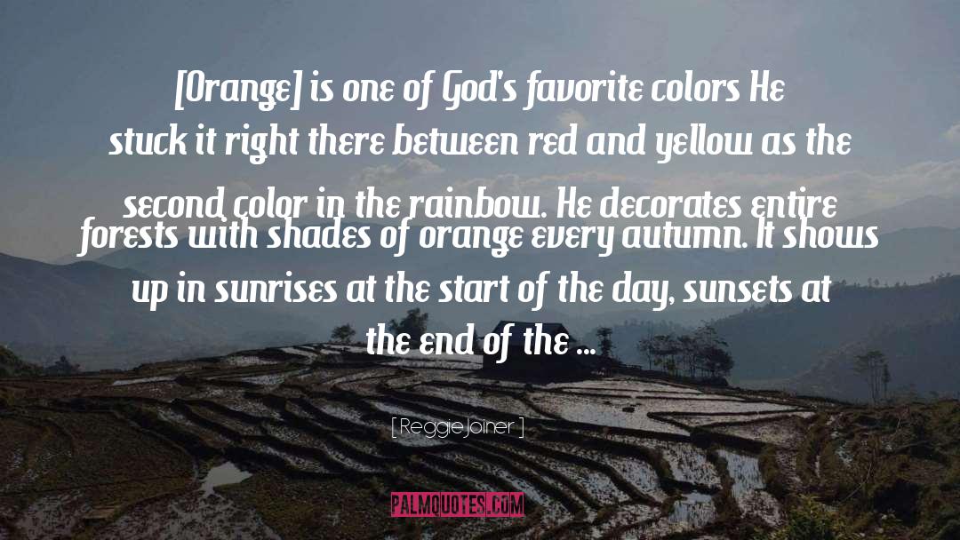 The Rainbow quotes by Reggie Joiner