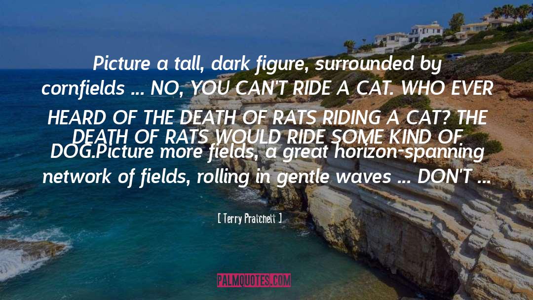 The Rats In The Walls quotes by Terry Pratchett