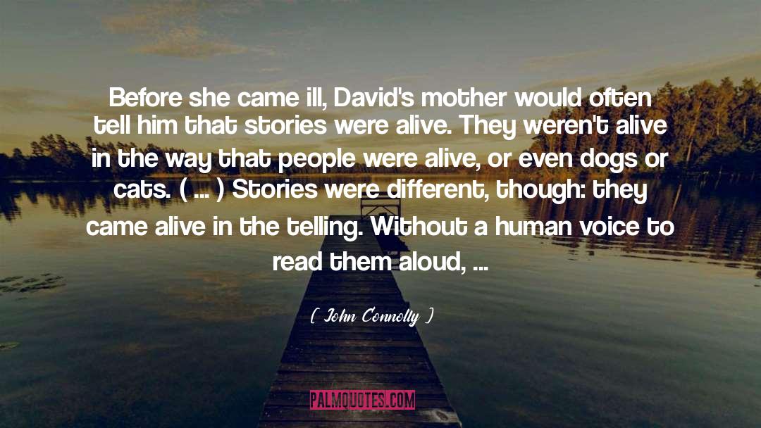 The Reader quotes by John Connolly