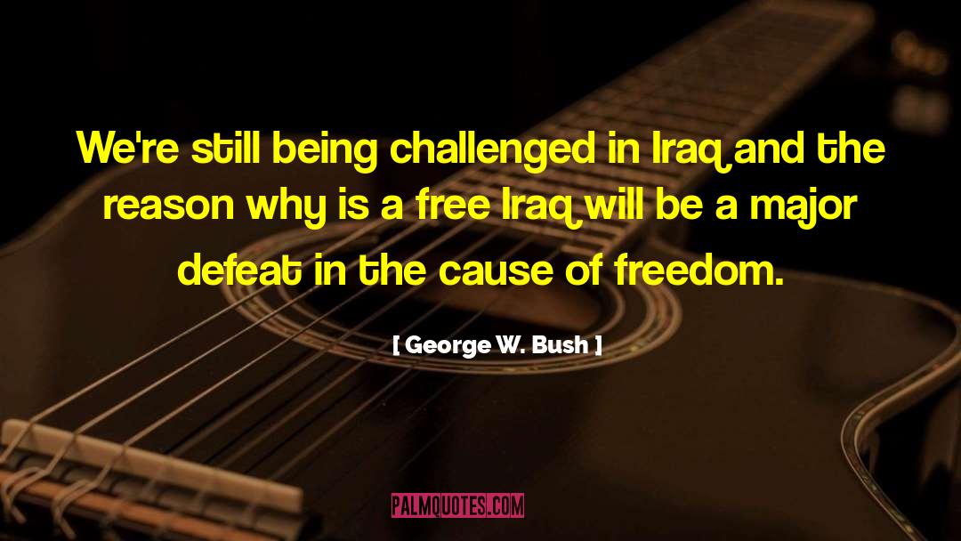 The Reason Why quotes by George W. Bush
