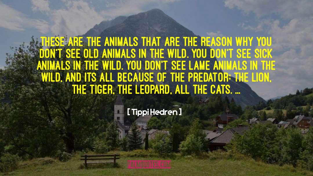 The Reason Why quotes by Tippi Hedren