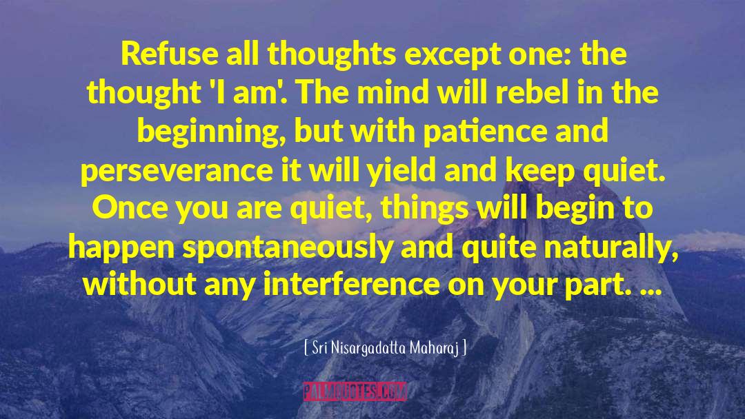 The Rebel Angels quotes by Sri Nisargadatta Maharaj