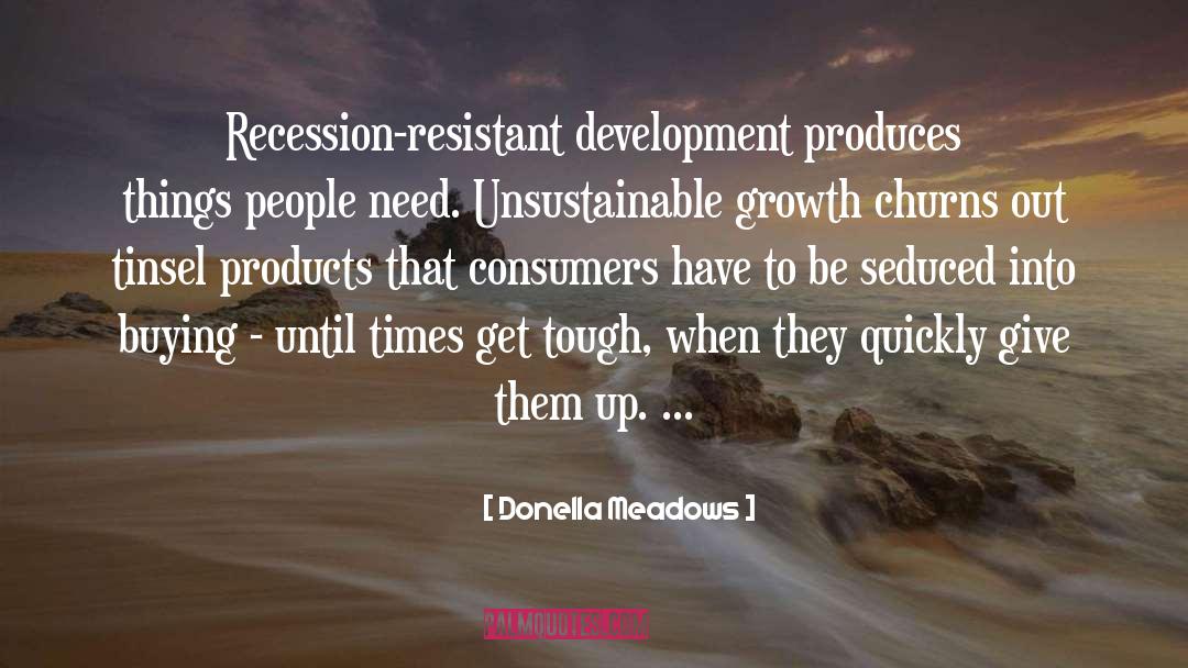 The Recession quotes by Donella Meadows