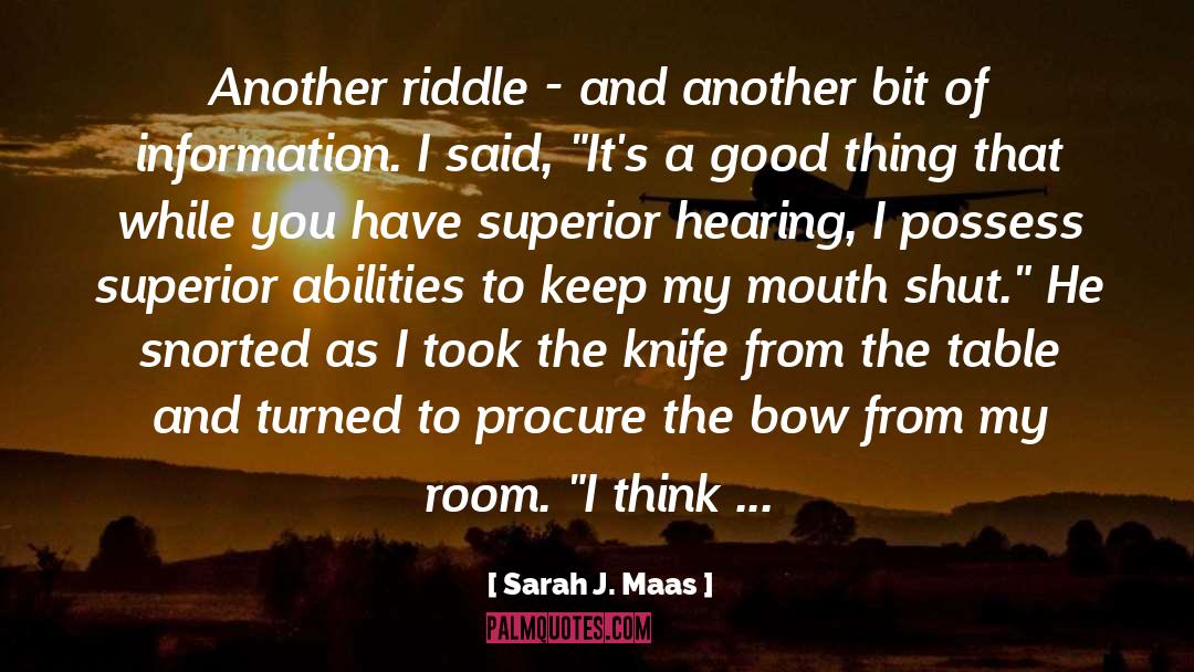 The Riddle Of Strider quotes by Sarah J. Maas