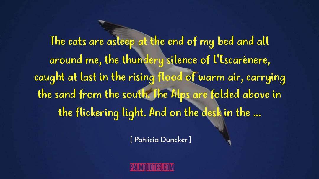 The Rising quotes by Patricia Duncker