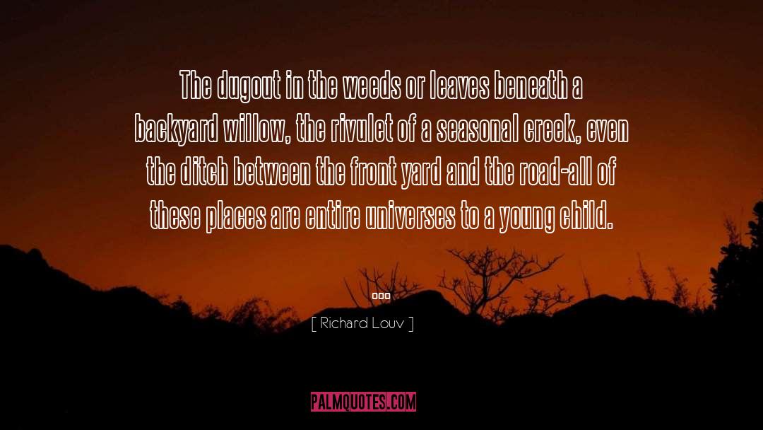 The Road Beneath My Feet quotes by Richard Louv