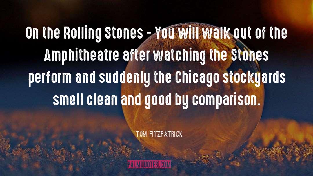 The Rolling Stones quotes by Tom Fitzpatrick