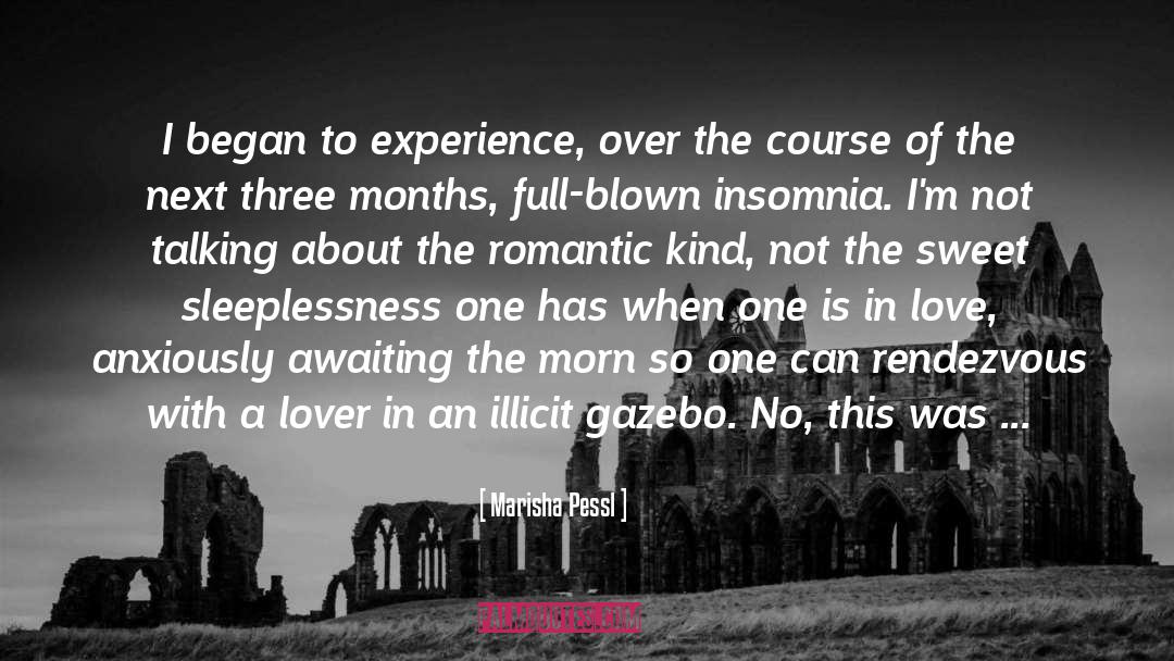 The Romantic quotes by Marisha Pessl