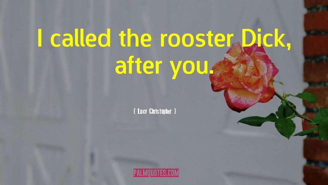 The Rooster quotes by Lucy Christopher