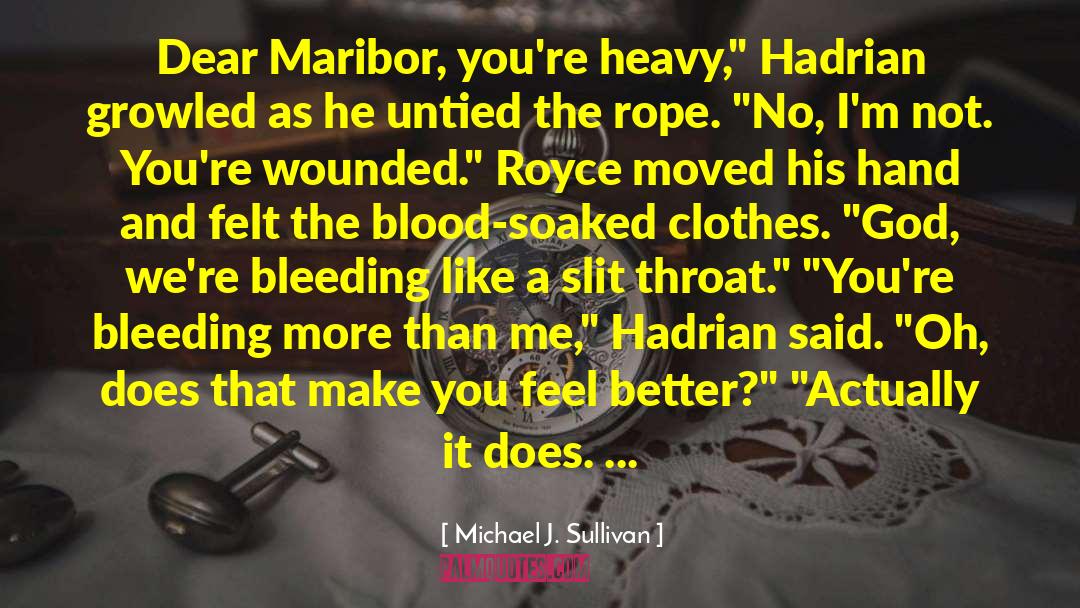 The Rope quotes by Michael J. Sullivan