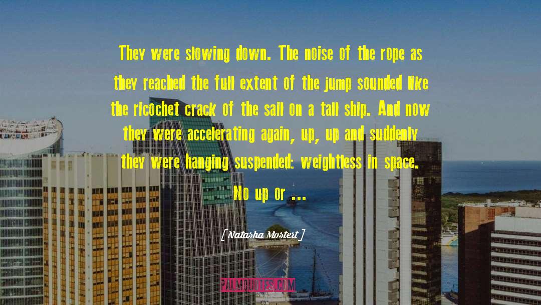 The Rope quotes by Natasha Mostert