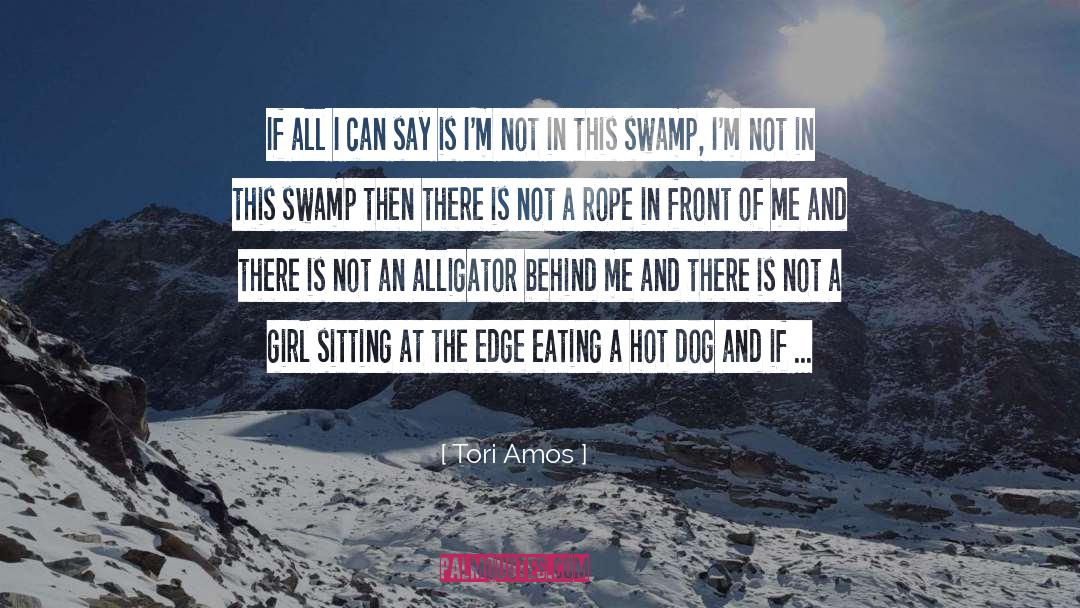 The Rope Swing quotes by Tori Amos