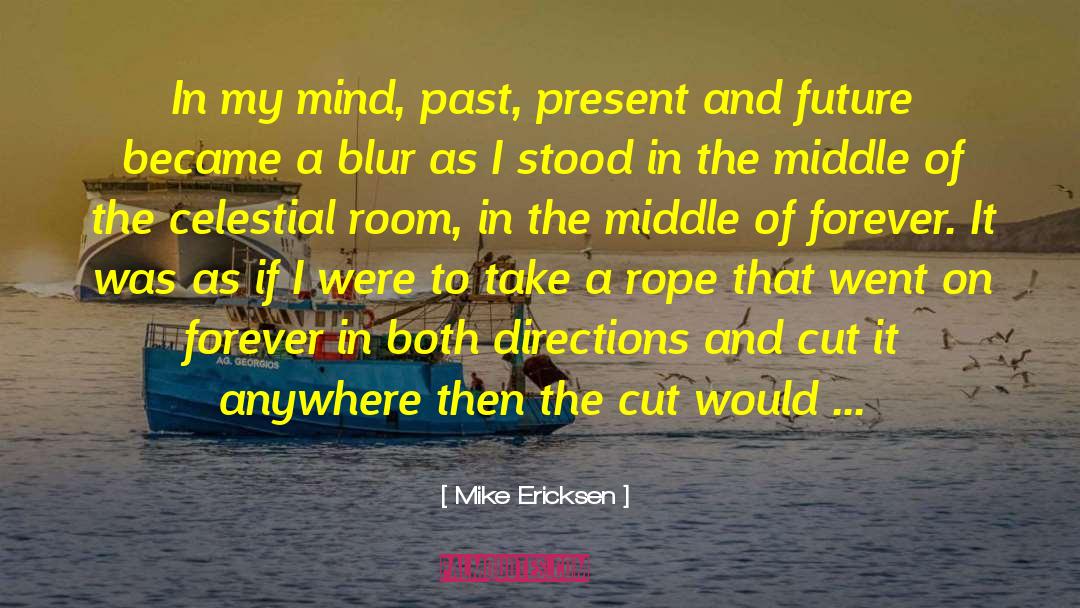 The Rope Swing quotes by Mike Ericksen