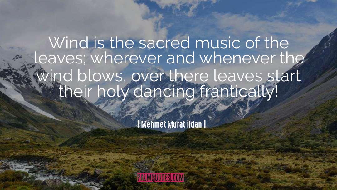 The Sacred quotes by Mehmet Murat Ildan