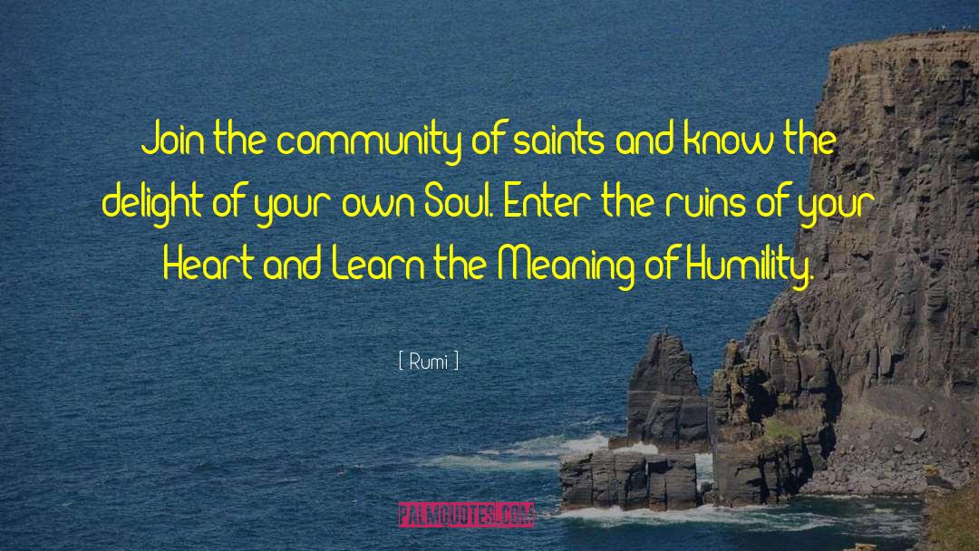 The Saints Of The Cruz quotes by Rumi