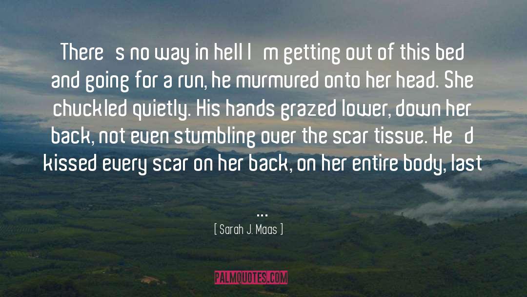 The Scar quotes by Sarah J. Maas