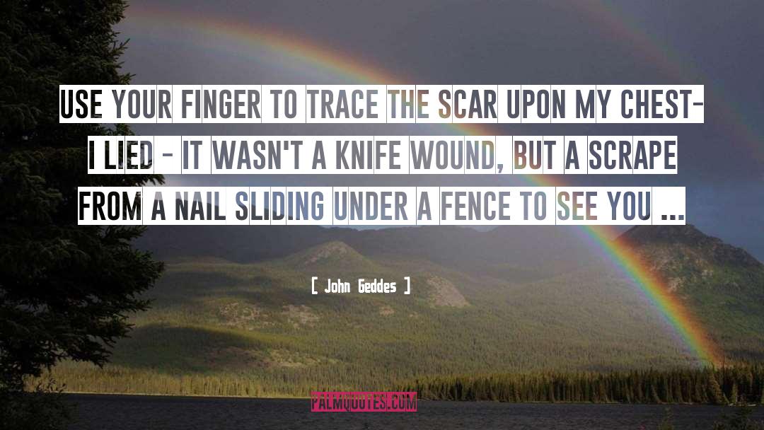 The Scar quotes by John Geddes