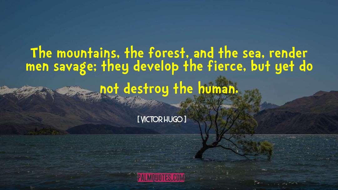 The Sea And The Silence quotes by Victor Hugo