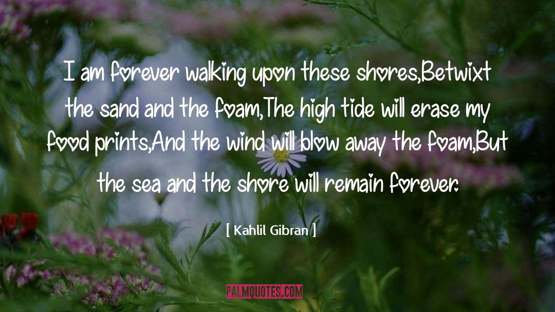 The Sea And The Silence quotes by Kahlil Gibran