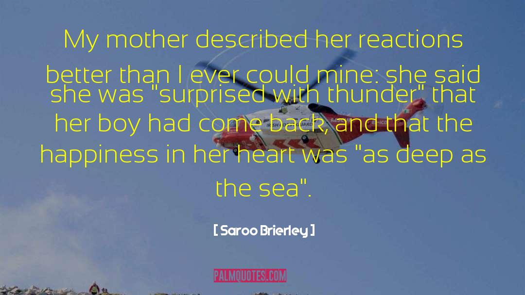 The Sea And The Silence quotes by Saroo Brierley