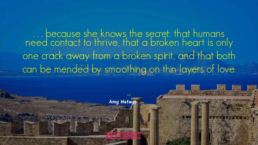 The Secret Love quotes by Amy Matayo