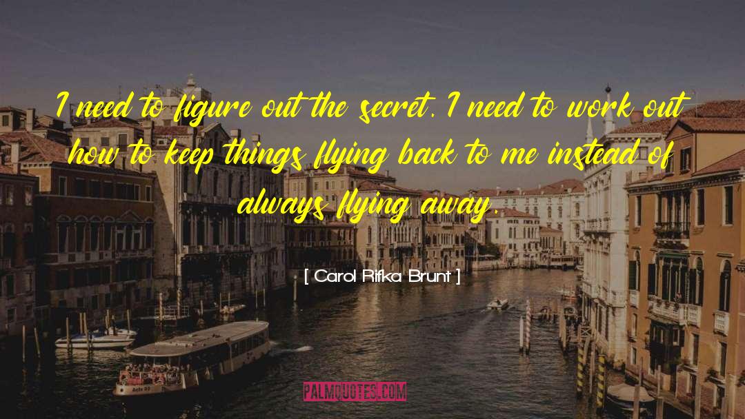 The Secret Love quotes by Carol Rifka Brunt