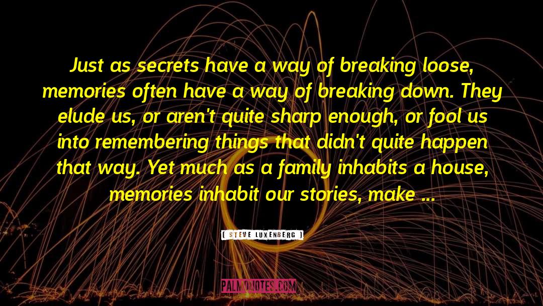 The Secrets We Keep quotes by Steve Luxenberg