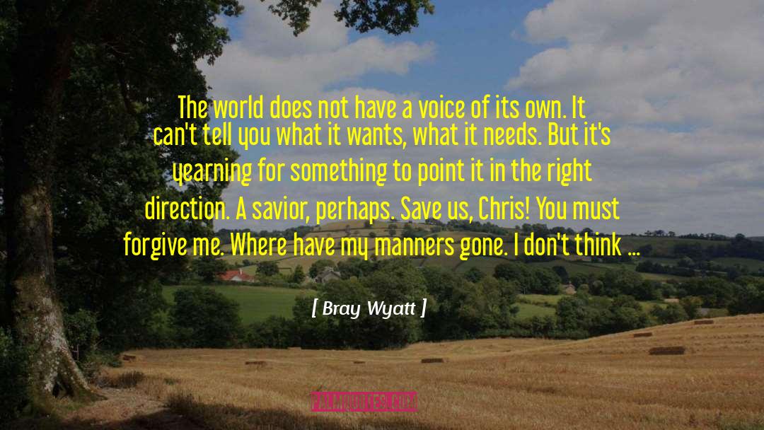 The Seducer S Diary quotes by Bray Wyatt
