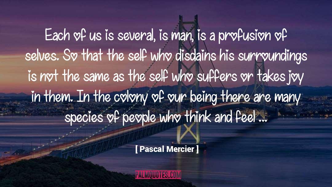 The Self quotes by Pascal Mercier