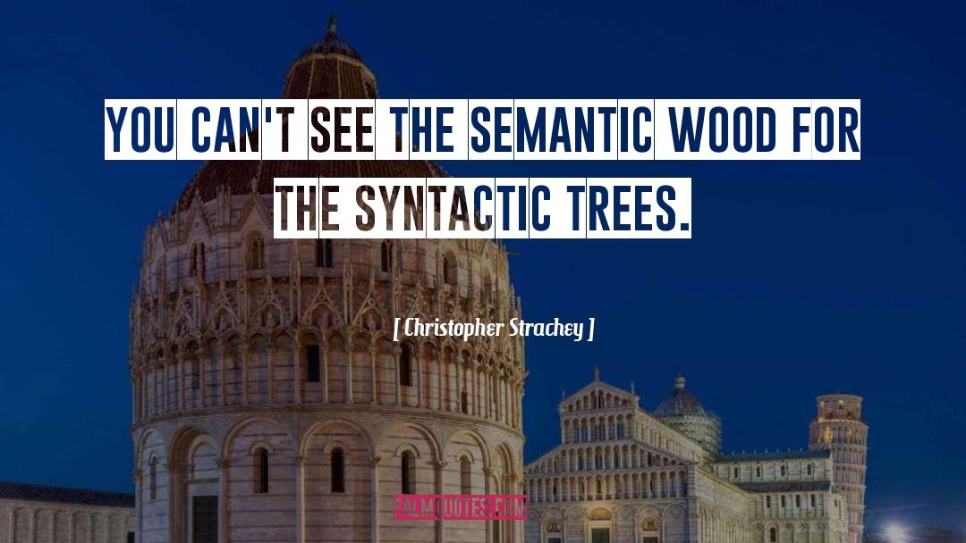The Semantic Web quotes by Christopher Strachey
