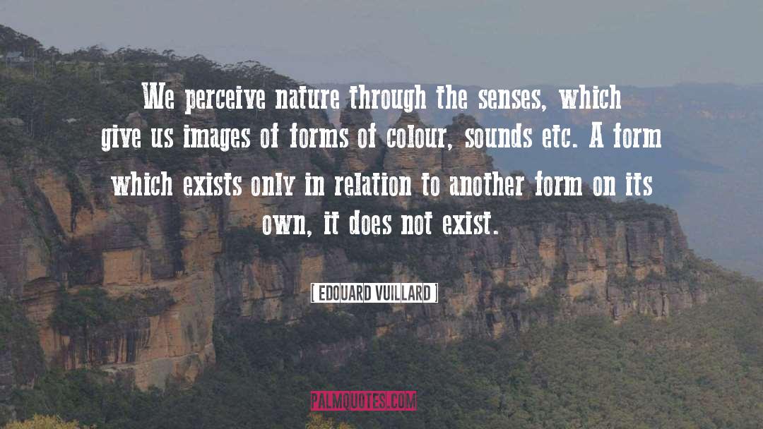 The Senses quotes by Edouard Vuillard