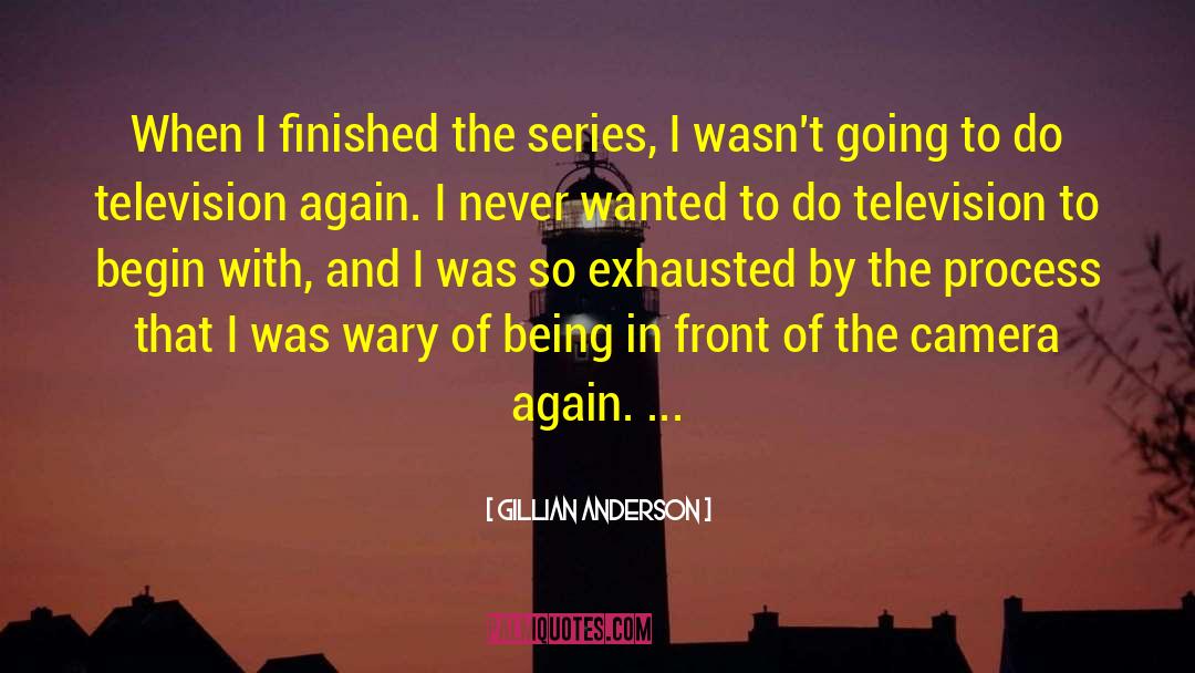 The Series quotes by Gillian Anderson
