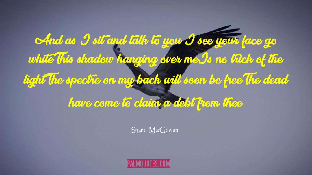 The Shadow Cats quotes by Shane MacGowan