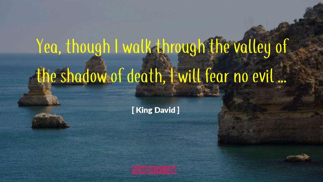 The Shadow Of Death quotes by King David