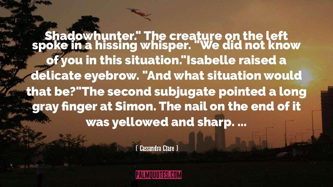 The Shadowhunter Chronicles quotes by Cassandra Clare