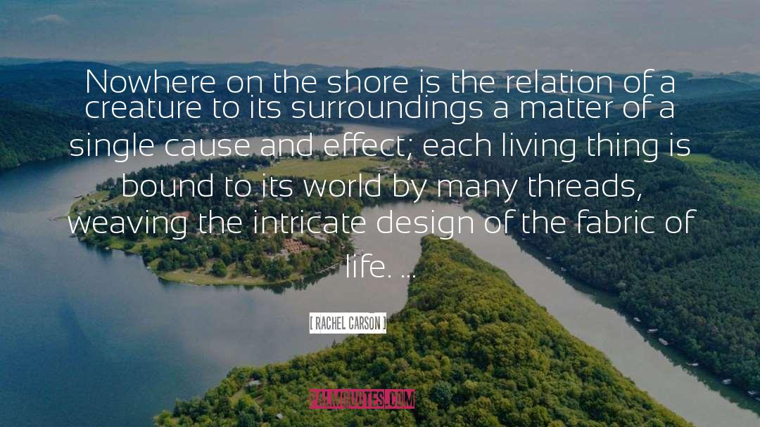 The Shore quotes by Rachel Carson