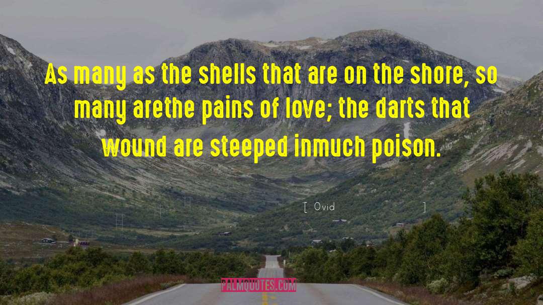 The Shore quotes by Ovid