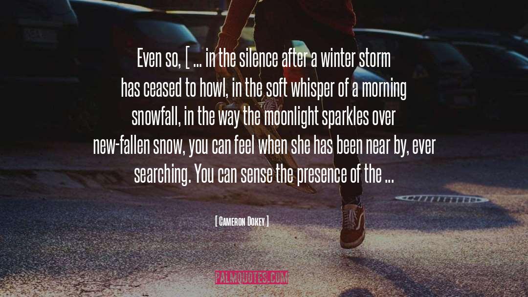 The Silence quotes by Cameron Dokey