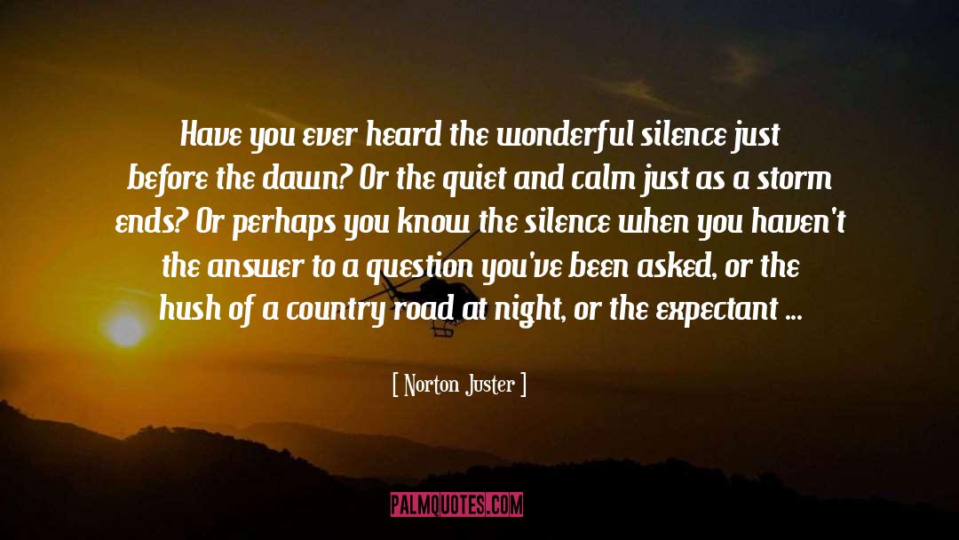 The Silence quotes by Norton Juster