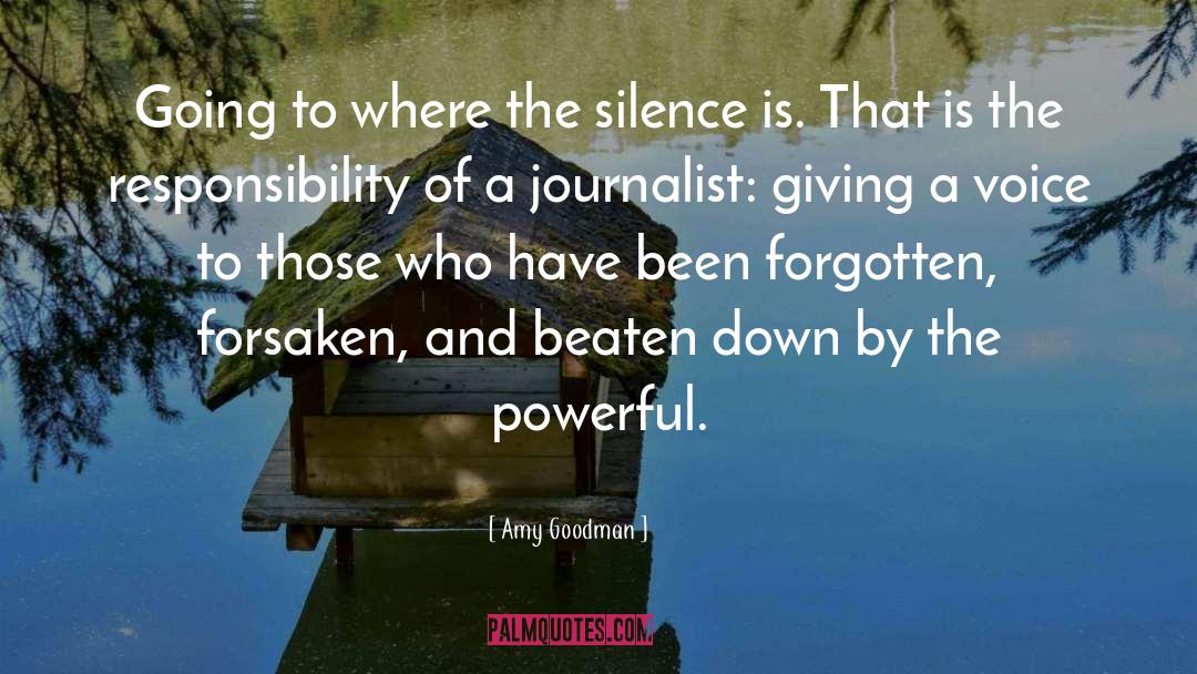 The Silence quotes by Amy Goodman