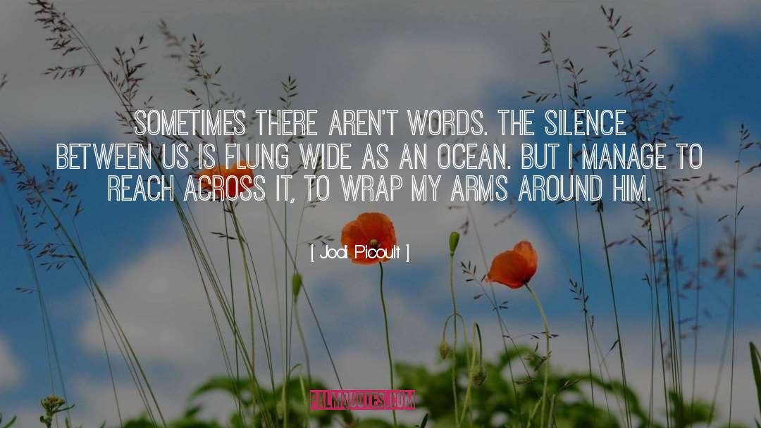 The Silence quotes by Jodi Picoult