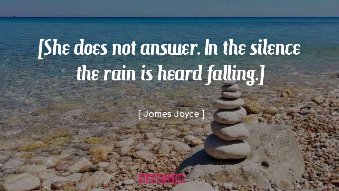 The Silence quotes by James Joyce